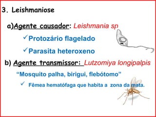 3. Leishmaniose
a)Agente causador: Leishmania sp
Protozário flagelado
Parasita heteroxeno
b) Agente transmissor: Lutzomiya longipalpis
“Mosquito palha, birigui, flebótomo”
 Fêmea hematófaga que habita a zona da mata.
 
