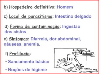 b) Hospedeiro definitivo: Homem
c) Local de parasitismo: Intestino delgado
d) Forma de contaminação: Ingestão
dos cistos
e) Sintomas: Diarreia, dor abdominal,
náuseas, anemia.
f) Profilaxia:
• Saneamento básico
• Noções de higiene
 
