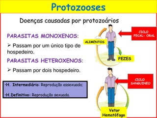 Protozooses
Doenças causadas por protozoários
PARASITAS MONOXENOS:
 Passam por um único tipo de
hospedeiro.
PARASITAS HETEROXENOS:
 Passam por dois hospedeiro.
FEZES
ALIMENTOS
CICLO
FECAL- ORAL
CICLO
SANGUINEO
Vetor
Hematófago
•H. Intermediário: Reprodução assexuada;
•H.Definitivo: Reprodução sexuada.
 
