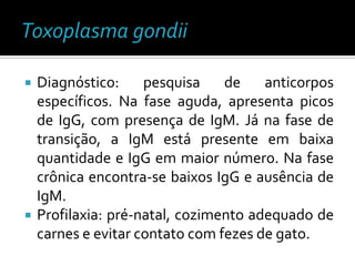    Diagnóstico:     pesquisa    de    anticorpos
    específicos. Na fase aguda, apresenta picos
    de IgG, com presença de IgM. Já na fase de
    transição, a IgM está presente em baixa
    quantidade e IgG em maior número. Na fase
    crônica encontra-se baixos IgG e ausência de
    IgM.
   Profilaxia: pré-natal, cozimento adequado de
    carnes e evitar contato com fezes de gato.
 