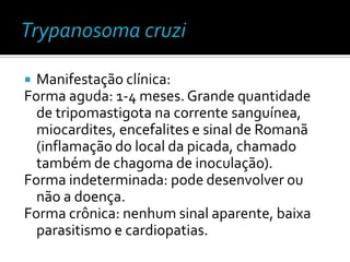  Manifestação clínica:
Forma aguda: 1-4 meses. Grande quantidade
  de tripomastigota na corrente sanguínea,
  miocardites, encefalites e sinal de Romanã
  (inflamação do local da picada, chamado
  também de chagoma de inoculação).
Forma indeterminada: pode desenvolver ou
  não a doença.
Forma crônica: nenhum sinal aparente, baixa
  parasitismo e cardiopatias.
 