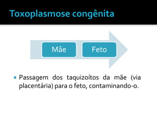 Mãe          Feto


   Passagem dos taquizoítos da mãe (via
    placentária) para o feto, contaminando-o.
 