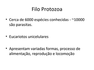 Filo Protozoa
• Cerca de 6000 espécies conhecidas - ~10000
  são parasitas.

• Eucariotos unicelulares

• Apresentam variadas formas, processo de
  alimentação, reprodução e locomoção
 