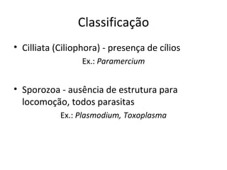 Classificação
• Cilliata (Ciliophora) - presença de cílios
                  Ex.: Paramercium


• Sporozoa - ausência de estrutura para
  locomoção, todos parasitas
            Ex.: Plasmodium, Toxoplasma
 