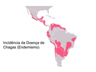 Incidência da Doença de
Chagas (Endemismo)
 