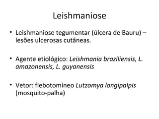 Leishmaniose
• Leishmaniose tegumentar (úlcera de Bauru) –
  lesões ulcerosas cutâneas.

• Agente etiológico: Leishmania braziliensis, L.
  amazonensis, L. guyanensis

• Vetor: flebotomíneo Lutzomya longipalpis
  (mosquito-palha)
 