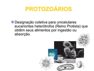 PROTOZOÁRIOS

Designação coletiva para unicelulares
eucariontes heterótrofos (Reino Protista) que
obtêm seus alimentos por ingestão ou
absorção.
 