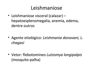 Leishmaniose
• Leishmaniose visceral (calazar) –
  hepatoesplenomegalia, anemia, edema,
  dentre outros

• Agente etiológico: Leishmania donovani, L.
  chagasi

• Vetor: flebotomíneo Lutzomya longipalpis
  (mosquito-palha)
 