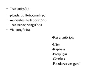 • Transmissão:
-   picada do flebotomíneo
-   Acidentes de laboratório
-   Transfusão sanguínea
-   Via congênita

                               •Reservatórios:
                               -Cães
                               -Raposas
                               -Preguiças
                               -Gambás
                               -Roedores em geral
 