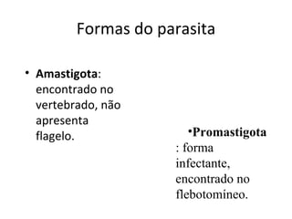 Formas do parasita

• Amastigota:
  encontrado no
  vertebrado, não
  apresenta
  flagelo.              •Promastigota
                     : forma
                     infectante,
                     encontrado no
                     flebotomíneo.
 