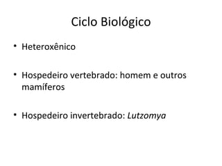 Ciclo Biológico
• Heteroxênico

• Hospedeiro vertebrado: homem e outros
  mamíferos

• Hospedeiro invertebrado: Lutzomya
 