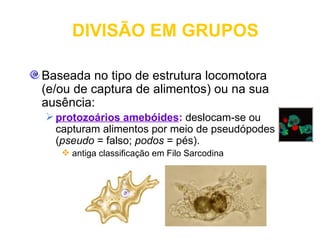 DIVISÃO EM GRUPOS

Baseada no tipo de estrutura locomotora
(e/ou de captura de alimentos) ou na sua
ausência:
 protozoários amebóides: deslocam-se ou
  capturam alimentos por meio de pseudópodes
  (pseudo = falso; podos = pés).
    antiga classificação em Filo Sarcodina
 
