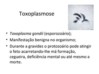 Toxoplasmose


• Toxoplasma gondii (esporozoário);
• Manifestação benigna no organismo;
• Durante a gravidez o protozoário pode atingir
  o feto acarretando-lhe má formação,
  cegueira, deficiência mental ou até mesmo a
  morte.
 