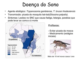 Doença do Sono
•   Agente etiológico: Trypanosoma gambiense, T. brucei rhodesiensis
•   Transmissão: picada do mosquito tsé-tsé(Glossina palpalis).
•   Sintomas: Lesões no SNC que causa fadiga, letargia, paralisia que
    pode levar ao coma e à morte

                                           Profilaxias:

                                           - Evitar picada da mosca
                                           - Medicamento (estágios
                                           iniciais)




                                          Mais de 10 mil novos casos / ano
 