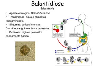 Balantidiose
                              Disenteria
•  Agente etiológico: Balantidium coli
•  Transmissão: água e alimentos
 contaminados.
• Sintomas: cólicas intensas,
Diarréias sanguinolentas e tenesmos.
• Profilaxia: higiene pessoal e
saneamento básico.
 