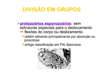 DIVISÃO EM GRUPOS

protozoários esporozoários: sem
 estruturas especiais para o deslocamento
  flexões do corpo ou deslizamento.
  obtêm alimento principalmente por absorção ou
   pinocitose.
  antiga classificação em Filo Sporozoa
 