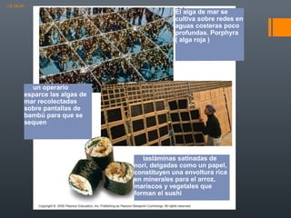 LE 28-20

El alga de mar se
cultiva sobre redes en
aguas costeras poco
profundas. Porphyra
( alga roja )

un operario
esparce las algas de
mar recolectadas
sobre pantallas de
bambú para que se
sequen

lasláminas satinadas de
nori, delgadas como un papel,
constituyen una envoltura rica
en minerales para el arroz,
mariscos y vegetales que
forman el sushi

 