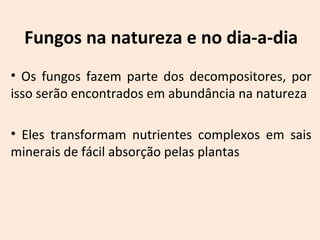 Fungos na natureza e no dia-a-dia 
• Os fungos fazem parte dos decompositores, por 
isso serão encontrados em abundância na natureza 
• Eles transformam nutrientes complexos em sais 
minerais de fácil absorção pelas plantas 
 