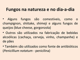 Fungos na natureza e no dia-a-dia 
• Alguns fungos são comestíveis, como o 
champignon, shiitake, shimeji e alguns fungos de 
queijos (blue cheese, gorgonzola) 
• Outros são utilizados na fabricação de bebidas 
alcoólicas (cachaça, cerveja, vinho, champanhe) e 
de pães 
• Também são utilizados como fonte de antibióticos 
(Penicillium notatum - penicilina) 
 