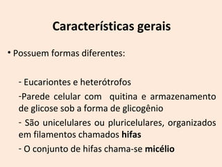 Características gerais 
• Possuem formas diferentes: 
- Eucariontes e heterótrofos 
-Parede celular com quitina e armazenamento 
de glicose sob a forma de glicogênio 
- São unicelulares ou pluricelulares, organizados 
em filamentos chamados hifas 
- O conjunto de hifas chama-se micélio 
 