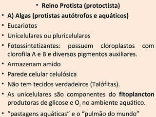 • Reino Protista (protoctista) 
• A) Algas (protistas autótrofos e aquáticos) 
• Eucariotos 
• Unicelulares ou pluricelulares 
• Fotossintetizantes: possuem cloroplastos com 
clorofila A e B e diversos pigmentos auxiliares. 
• Armazenam amido 
• Parede celular celulósica 
• Não tem tecidos verdadeiros (Talófitas). 
• As unicelulares são componentes do fitoplancton 
produtoras de glicose e O2 no ambiente aquático. 
• “pastagens aquáticas” e o “pulmão do mundo” 
 