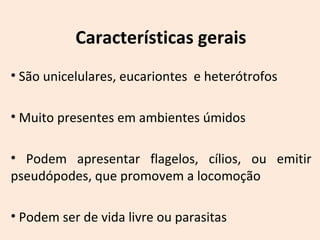 Características gerais 
• São unicelulares, eucariontes e heterótrofos 
• Muito presentes em ambientes úmidos 
• Podem apresentar flagelos, cílios, ou emitir 
pseudópodes, que promovem a locomoção 
• Podem ser de vida livre ou parasitas 
 