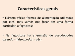 Características gerais 
• Existem várias formas de alimentação utilizadas 
por eles, mas vamos nos focar em uma forma 
particular, a fagocitose 
• Na fagocitose há a emissão de pseudópodes 
(pseudo = falso; podos = pés) 
 