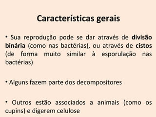 Características gerais 
• Sua reprodução pode se dar através de divisão 
binária (como nas bactérias), ou através de cistos 
(de forma muito similar à esporulação nas 
bactérias) 
• Alguns fazem parte dos decompositores 
• Outros estão associados a animais (como os 
cupins) e digerem celulose 
 