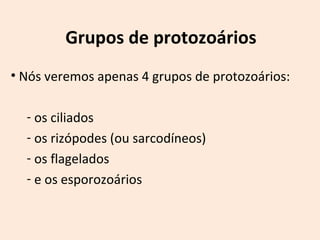 Grupos de protozoários 
• Nós veremos apenas 4 grupos de protozoários: 
- os ciliados 
- os rizópodes (ou sarcodíneos) 
- os flagelados 
- e os esporozoários 
 