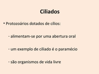 Ciliados 
• Protozoários dotados de cílios: 
- alimentam-se por uma abertura oral 
- um exemplo de ciliado é o paramécio 
- são organismos de vida livre 
 