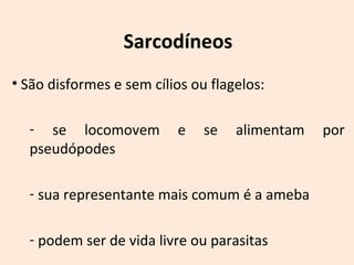 Sarcodíneos 
• São disformes e sem cílios ou flagelos: 
- se locomovem e se alimentam por 
pseudópodes 
- sua representante mais comum é a ameba 
- podem ser de vida livre ou parasitas 
 