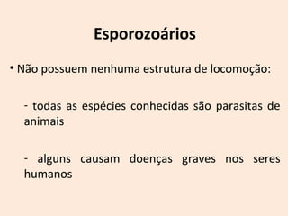 Esporozoários 
• Não possuem nenhuma estrutura de locomoção: 
- todas as espécies conhecidas são parasitas de 
animais 
- alguns causam doenças graves nos seres 
humanos 
 