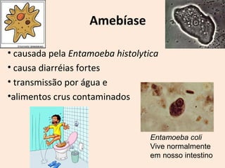 Amebíase 
• causada pela Entamoeba histolytica 
• causa diarréias fortes 
• transmissão por água e 
•alimentos crus contaminados 
Entamoeba coli 
Vive normalmente 
em nosso intestino 
 