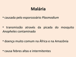 Malária 
• causada pelo esporozoário Plasmodium 
• transmissão através da picada do mosquito 
Anopheles contaminado 
• doença muito comum na África e na Amazônia 
• causa febres altas e intermitentes 
 
