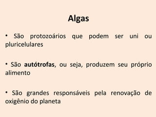 Algas 
• São protozoários que podem ser uni ou 
pluricelulares 
• São autótrofas, ou seja, produzem seu próprio 
alimento 
• São grandes responsáveis pela renovação de 
oxigênio do planeta 
 