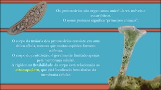 Os protozoários são organismos unicelulares, móveis e
eucarióticos.
O nome protozoa significa “primeiros animais”.

O corpo da maioria dos protozoários consiste em uma
única célula, mesmo que muitas espécies formem
colônias.
O corpo do protozoário é geralmente limitado apenas
pela membrana celular.
A rigidez ou flexibilidade do corpo está relacionada ao
citoesqueleto, que está localizado bem abaixo da
membrana celular.

 