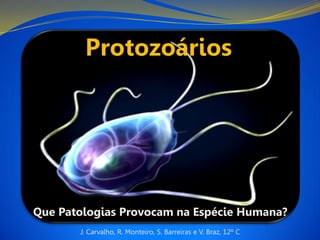 Que Patologias Provocam na Espécie Humana?
       J. Carvalho, R. Monteiro, S. Barreiras e V. Braz, 12º C
 