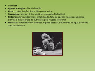 Giardíase Agente etiológico:  Giardia lamblia Vetor:  contaminação direta. Não possui vetor. Hospedeiro:  homem (intermediário), mosquito (definitivo) Sintomas:  dores abdominais, irritabilidade, falta de apetite, náuseas e vômitos, diarréia e má absorção de nutrientes pela mucosa intestinal Profilaxia:  tratamento dos doentes, higiene pessoal, tratamento da água e cuidado com os alimentos 