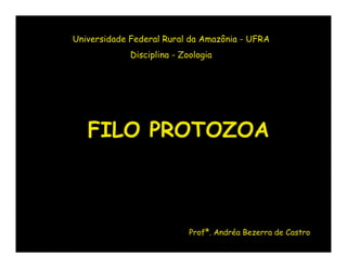 Universidade Federal Rural da Amazônia - UFRA
             Disciplina - Zoologia




   FILO PROTOZOA



                            Profª. Andréa Bezerra de Castro
 