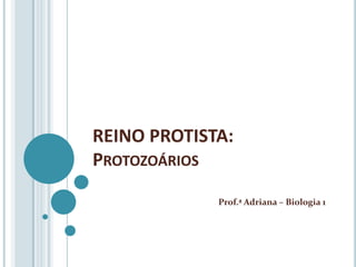 REINO PROTISTA:
PROTOZOÁRIOS
             Prof.ª Adriana – Biologia 1
 