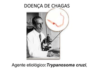 DOENÇA DE CHAGAS

             prof. Eduardo




Agente etiológico:Trypanosoma cruzi,
 