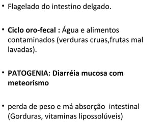 • Flagelado do intestino delgado.

• Ciclo oro-fecal : Água e alimentos
  contaminados (verduras cruas,frutas mal
  lavadas).

• PATOGENIA: Diarréia mucosa com
  meteorismo

• perda de peso e má absorção intestinal
  (Gorduras, vitaminas lipossolúveis)
 