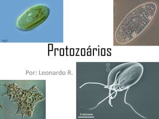 Protozoários
Por: Leonardo R.
 