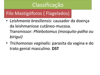 Classificação
• Leishmania brasiliensis: causador da doença
da leishmaniose cutâneo-mucosa.
Transmissor: Phlebotomus (mosquito-palha ou
birigui)
• Trichomonas vaginalis: parasita da vagina e do
trato genial masculino. DST
Filo Mastigóforos ( Flagelados)
 