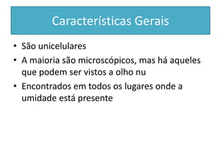 Características Gerais
• São unicelulares
• A maioria são microscópicos, mas há aqueles
que podem ser vistos a olho nu
• Encontrados em todos os lugares onde a
umidade está presente
 