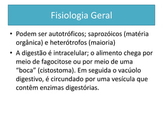 Fisiologia Geral
• Podem ser autotróficos; saprozóicos (matéria
orgânica) e heterótrofos (maioria)
• A digestão é intracelular; o alimento chega por
meio de fagocitose ou por meio de uma
“boca” (cistostoma). Em seguida o vacúolo
digestivo, é circundado por uma vesícula que
contêm enzimas digestórias.
 