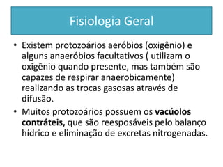Fisiologia Geral
• Existem protozoários aeróbios (oxigênio) e
alguns anaeróbios facultativos ( utilizam o
oxigênio quando presente, mas também são
capazes de respirar anaerobicamente)
realizando as trocas gasosas através de
difusão.
• Muitos protozoários possuem os vacúolos
contráteis, que são reesposáveis pelo balanço
hídrico e eliminação de excretas nitrogenadas.
 