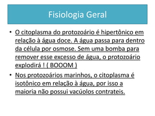 Fisiologia Geral
• O citoplasma do protozoário é hipertônico em
relação à água doce. A água passa para dentro
da célula por osmose. Sem uma bomba para
remover esse excesso de água, o protozoário
explodirá ! ( BOOOM )
• Nos protozoários marinhos, o citoplasma é
isotônico em relação à água, por isso a
maioria não possui vacúolos contrateis.
 