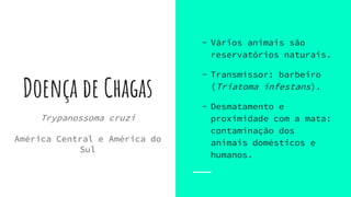 Doença de Chagas
Trypanossoma cruzi
América Central e América do
Sul
- Vários animais são
reservatórios naturais.
- Transmissor: barbeiro
(Triatoma infestans).
- Desmatamento e
proximidade com a mata:
contaminação dos
animais domésticos e
humanos.
 