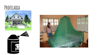 Profilaxia
 